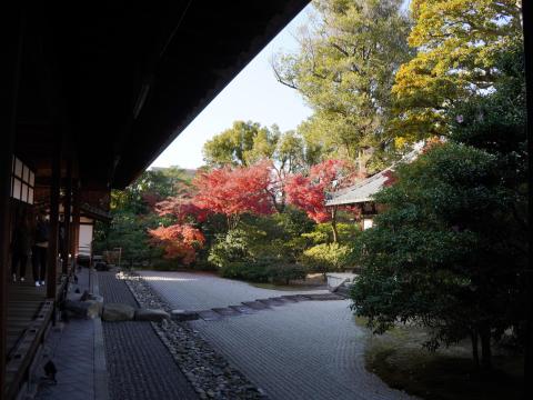 大雄苑