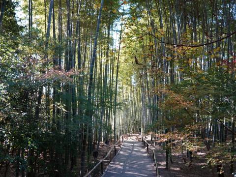 高台寺