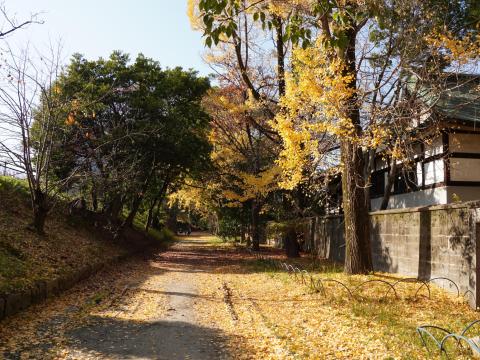 神社裏