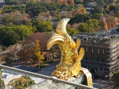 しゃちほこ