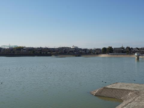 久米田池