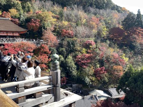 清水の舞台