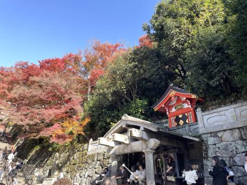音羽の滝