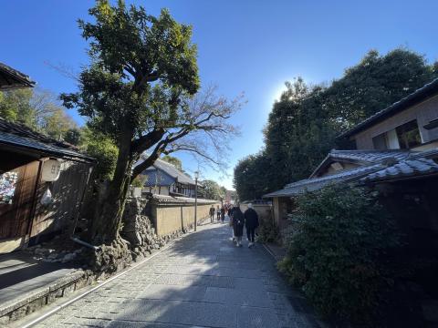 ねねの道