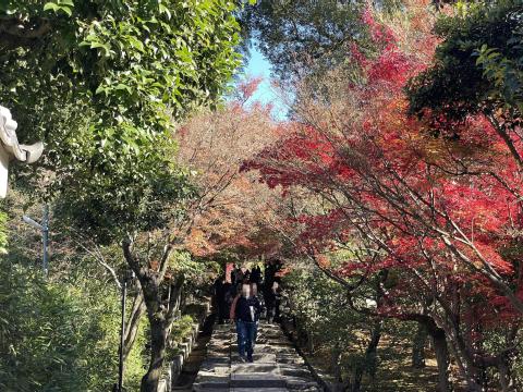 高台寺参道