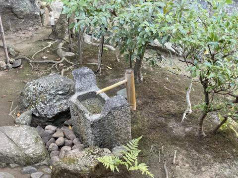 桧垣の手水鉢
