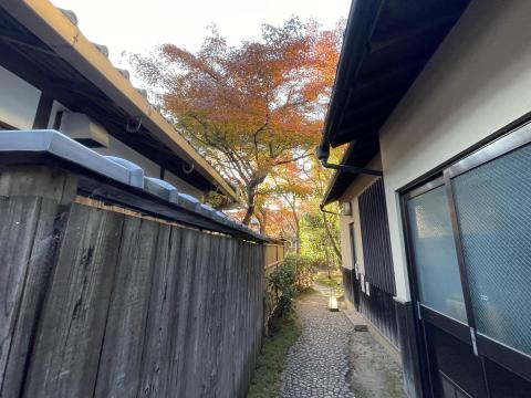 圓徳院