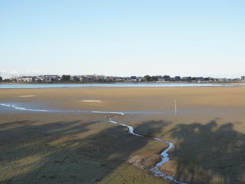 久米田池