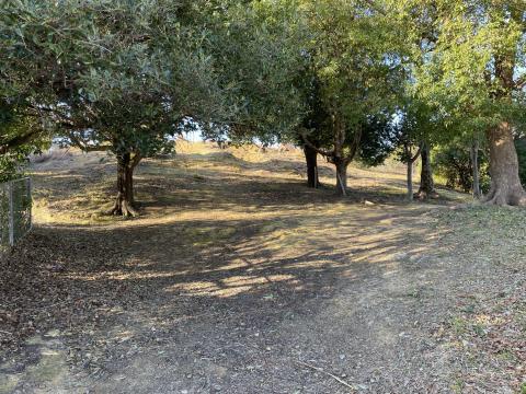 貝吹山古墳