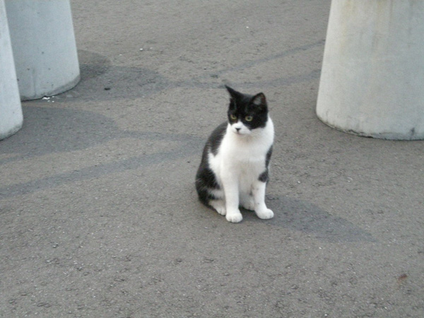 dscn0726