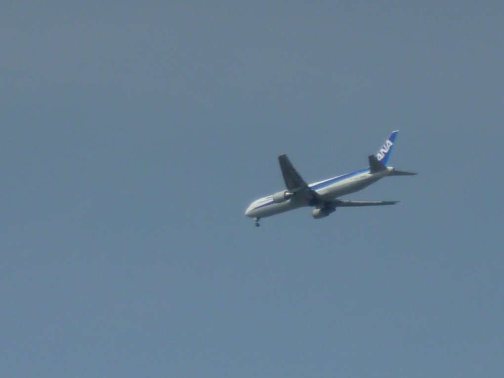 p1000079